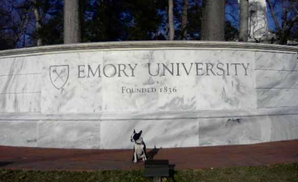 Emory University - cropped